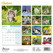 Calendrier Franais 2025 Chatons Adors