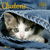 Calendrier Mural 2025 Chatons Adors