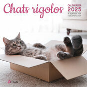 Calendrier Mural 2025 Chats Rigolos