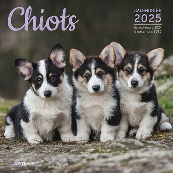 Calendrier 2025 Chiots