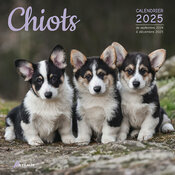 Calendrier Mural 2025 Chiots