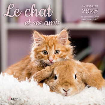 Calendrier 2025 Le Chat et ses Amis