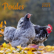 Calendrier Mural 2025 Poules