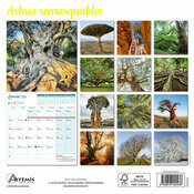 Calendrier Mural 2025 Arbres Remarquables