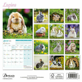 Calendrier 2025 Lapins 
