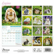 Calendrier Mural 2025 Lapins 