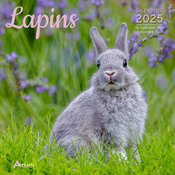 Calendrier Franais 2025 Lapins 
