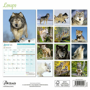 Calendrier 2025 Loups Sauvages