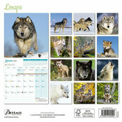 Calendrier franais 2025 Loups Sauvages