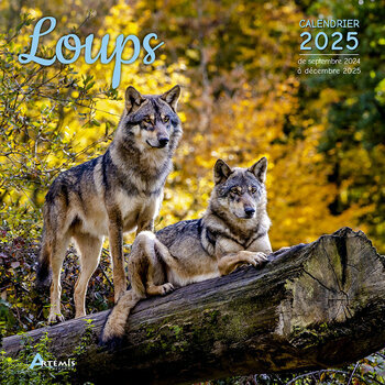 Calendrier 2025 Loups Sauvages
