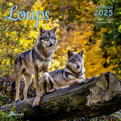 Calendrier Mural 2025 Loups Sauvages