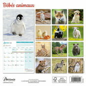 Calendrier Franais 2025 Bbs Animaux