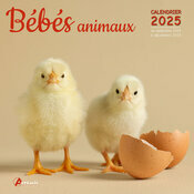 Calendrier Mural 2025 Bbs Animaux