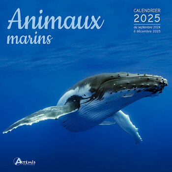 Calendrier 2025 Animaux Marins