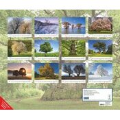 Maxi Calendrier Papier 60x50cm 2025 Arbre Nature