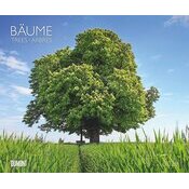 Maxi Calendrier Nature 60x50cm 2025 Arbre Nature