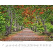 Maxi Calendrier Paysage  52x42,5cm 2025 Alles Arbres