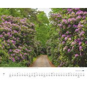 Maxi Calendrier 52x42,5cm 2025 Alles Arbres