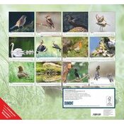 Maxi Calendrier 38x35.5cm 2025 Vie des Oiseaux indignes