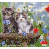 Maxi Calendrier Papier 38x35.5cm 2025 Adorables Chats