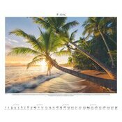 Maxi Calendrier 60x50cm 2025 Nature en Lumire