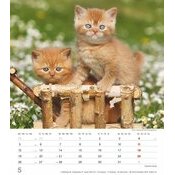 Calendrier Spirale 2025 Chatons Roux Mignons