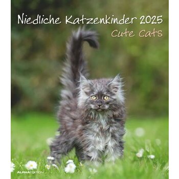 Calendrier Spirale 2025 Chatons Mignons