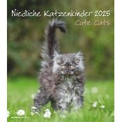 Calendrier Papier Spirale 2025 Chatons Mignons