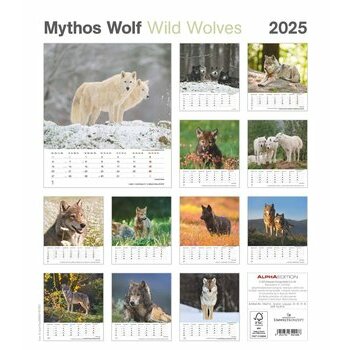 Calendrier Spirale 2025 Loups Sauvages