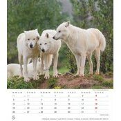 Calendrier Spirale Louveteau 2025 Loups Sauvages