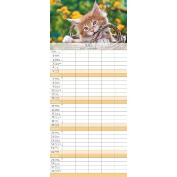Calendrier Familial 2025 Chatons