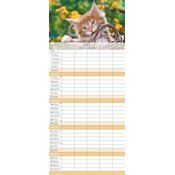 Calendrier Spirale Familial 2025 Chatons