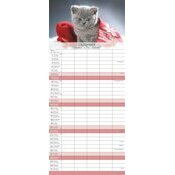 Calendrier Familial 2025 Chatons