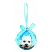 Petite Boule de Nol Bichon Maltais