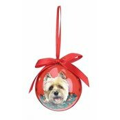 Petite Boule de Nol Cairn Terrier