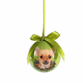 Petite Boule de Noël Chihuahua Fond Vert