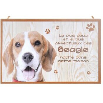 Plaque Bois Décorative  Beagle