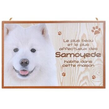 Plaque Bois Décorative Samoyede