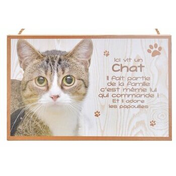 Plaque Bois Décorative chat (tigré, avec tache blanche)