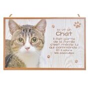 Plaque Bois Dcorative chat (tigr, avec tache blanche)