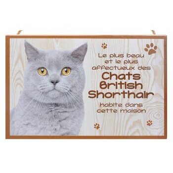 Plaque Bois Décorative Chat British Shorthair gris