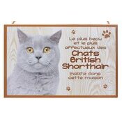 Plaque Bois Dcorative Chat British Shorthair gris