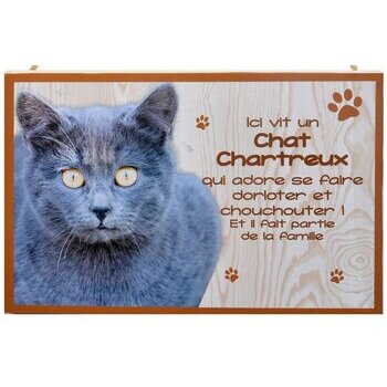 Plaque Bois Décorative Chat Chartreux