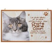 Plaque Bois Dcorative Chat Maine Coon