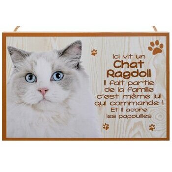 Plaque Bois Décorative Chat Ragdoll