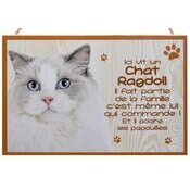 Plaque Bois Dcorative Chat Ragdoll