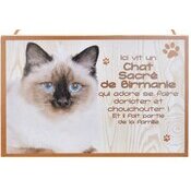 Plaque Bois Dcorative Chat Sacr de Birmanie