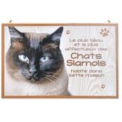 Plaque Bois Dcorative Chat Siamois