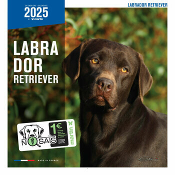 Calendrier 2025 Chien Labrador Retriever
