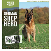 Calendrier Mural 2025 Chien Berger Allemand